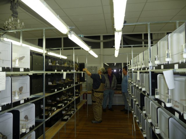 p1040694